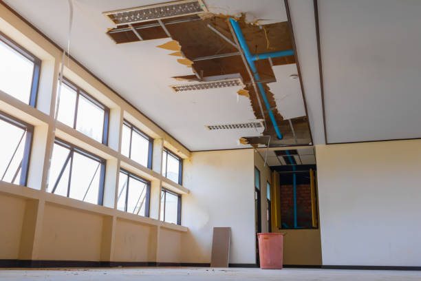 Best Ceiling water damage repair  in Somerset, PA