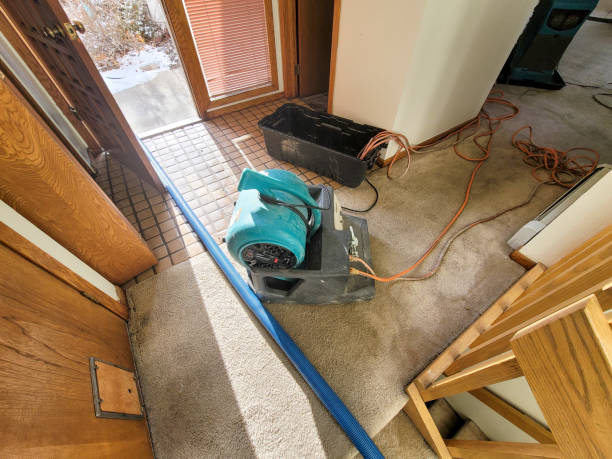 Best Carpet water damage restoration  in Somerset, PA