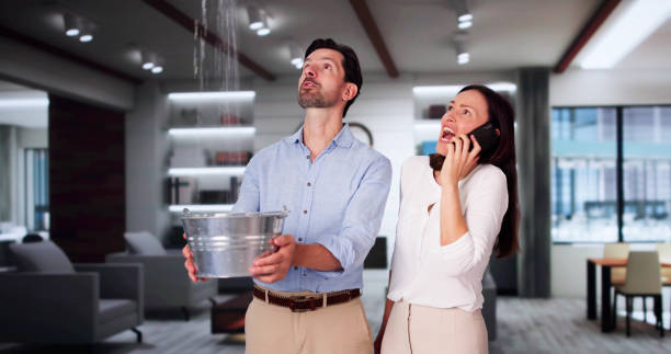 Best Water damage restoration company  in Somerset, PA